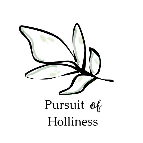 Pursuit of Holliness